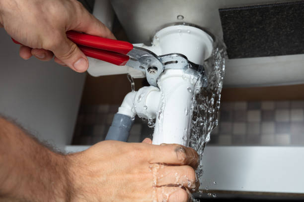 Best Residential water damage restoration  in Wheaton, MN