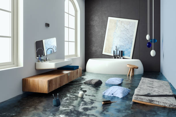 Best Ceiling water damage repair  in Wheaton, MN