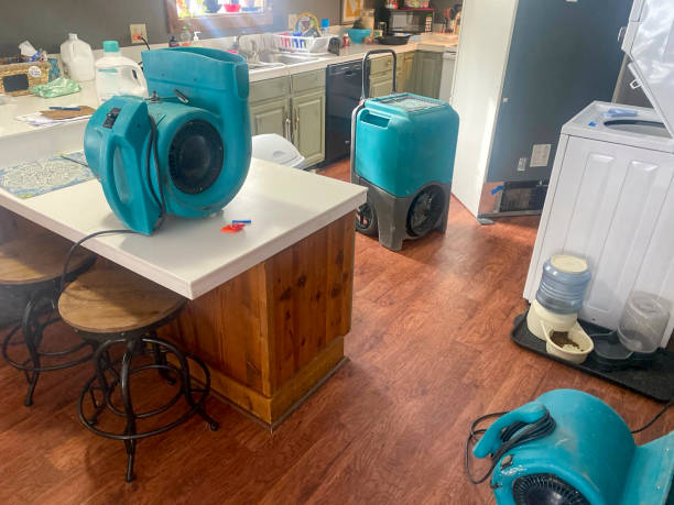 Best Water damage restoration specialists  in Wheaton, MN
