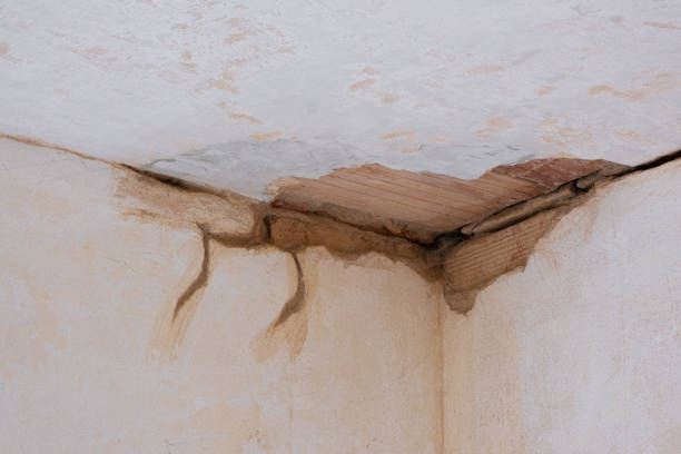 Best Flood damage cleanup  in Wheaton, MN