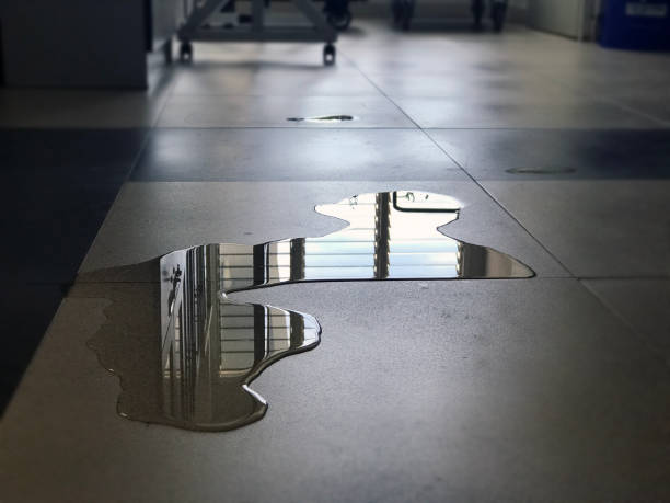 Best Water damage restoration specialists  in Wheaton, MN