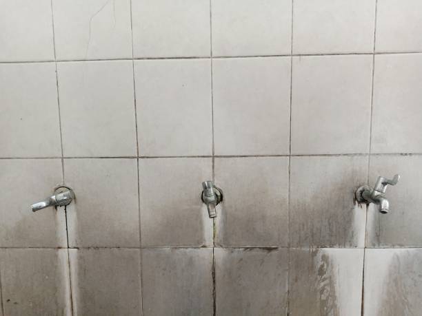 Best Fire Damage Restoration  in Wheaton, MN