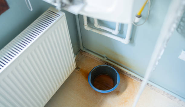Best Water damage restoration mold remediation  in Wheaton, MN